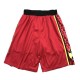 Atlanta Hawks 2019-20 Rød NBA Swingman Shorts