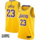 Børn Trøje Los Angeles Lakers Lebron James 23 2018-19 Guld Swingman