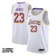 Børn Trøje Los Angeles Lakers Lebron James 23 2018-19 Hvid Swingman