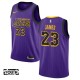 Børn Trøje Los Angeles Lakers LeBron James 23 2018-19 The City Lilla Swingman