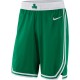 Boston Celtics 2017-18 Grøn NBA Swingman Shorts