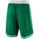 Boston Celtics 2017-18 Grøn NBA Swingman Shorts