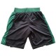Boston Celtics 2017-18 Sort NBA Swingman Shorts
