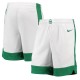 Boston Celtics 2020-21 Hvid NBA Swingman Shorts