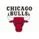 Chicago Bulls