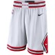 Chicago Bulls 2019-20 Hvid NBA Swingman Shorts