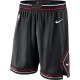 Chicago Bulls 2019-20 Sort NBA Swingman Shorts