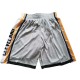 Cleveland Cavaliers 2017-18 Grå NBA Swingman Shorts