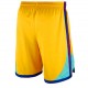 Golden State Warriors 2017-18 The City Gul NBA Swingman Shorts
