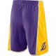 Los Angeles Lakers 2017-18 Lilla NBA Swingman Shorts