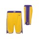 Los Angeles Lakers 2018-19 Gul NBA Swingman Shorts