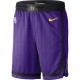 Los Angeles Lakers 2018-19 Lilla NBA Swingman Shorts