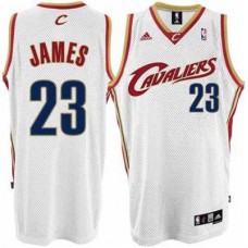 Mænd Trøje Cleveland Cavaliers LeBron James 23 Revolution 30 Swingman Home