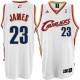 Mænd Trøje Cleveland Cavaliers LeBron James 23 Revolution 30 Swingman Home