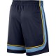 Memphis Grizzlies 2019-20 Navy NBA Swingman Shorts
