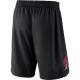 Portland Trail Blazers 2019-20 Sort NBA Swingman Shorts