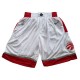 Toronto Raptors 2017-18 Hvid NBA Swingman Shorts