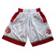 Toronto Raptors 2017-18 Hvid NBA Swingman Shorts