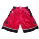 Toronto Raptors 2017-18 Rød NBA Swingman Shorts