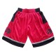 Toronto Raptors 2017-18 Rød NBA Swingman Shorts