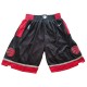 Toronto Raptors 2017-18 Sort NBA Swingman Shorts