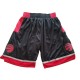 Toronto Raptors 2017-18 Sort NBA Swingman Shorts