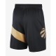 Toronto Raptors 2018-19 Sort NBA Swingman Shorts
